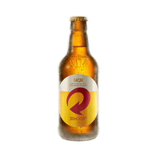 Skol 300ml